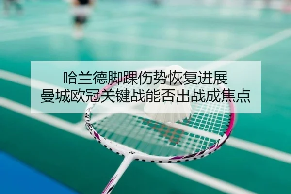 ha-lan-de-jiao-huai-shang-shi-hui-fu-jin-zhan-man-cheng-ou-guan-guan-jian-zhan-neng-fou-chu-zhan-cheng-jiao-dian-3-989.jpg