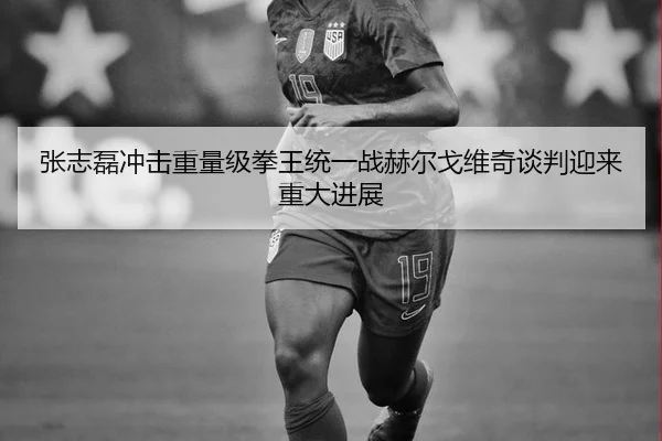 张志磊冲击重量级拳王统一战赫尔戈维奇谈判迎来重大进展