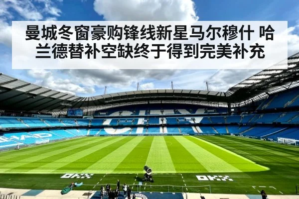 曼城冬窗豪购锋线新星马尔穆什 哈兰德替补空缺终于得到完美补充